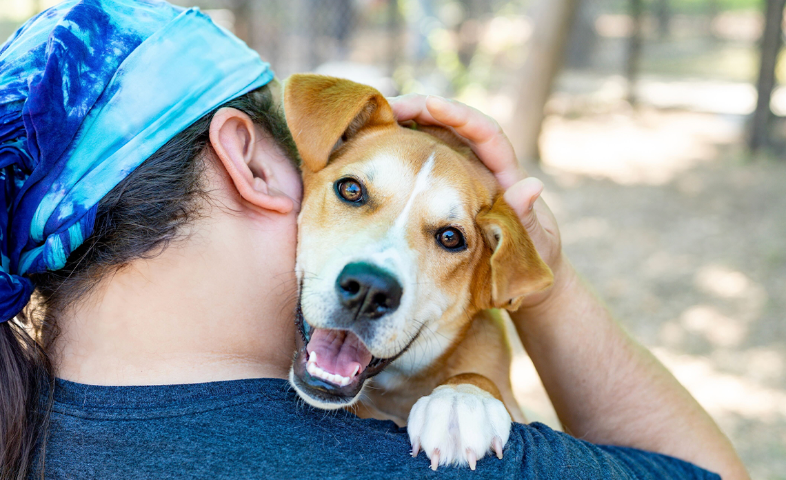 Training Pets